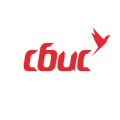 СБИС