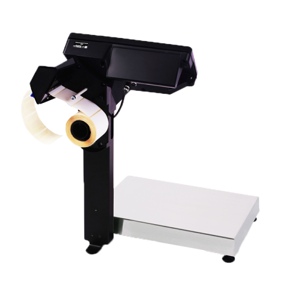 Весы с печатью этикеток Масса-К МК (15.2-RP10-1, арт 20933)